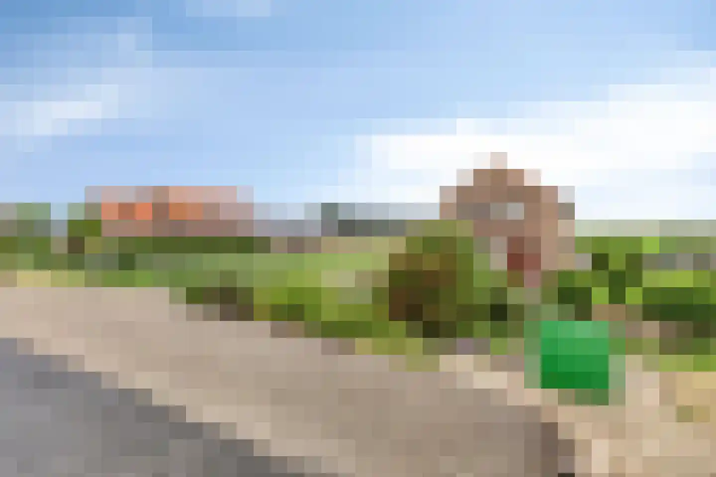 Molendijk 75 Herkingen thumbnail 5