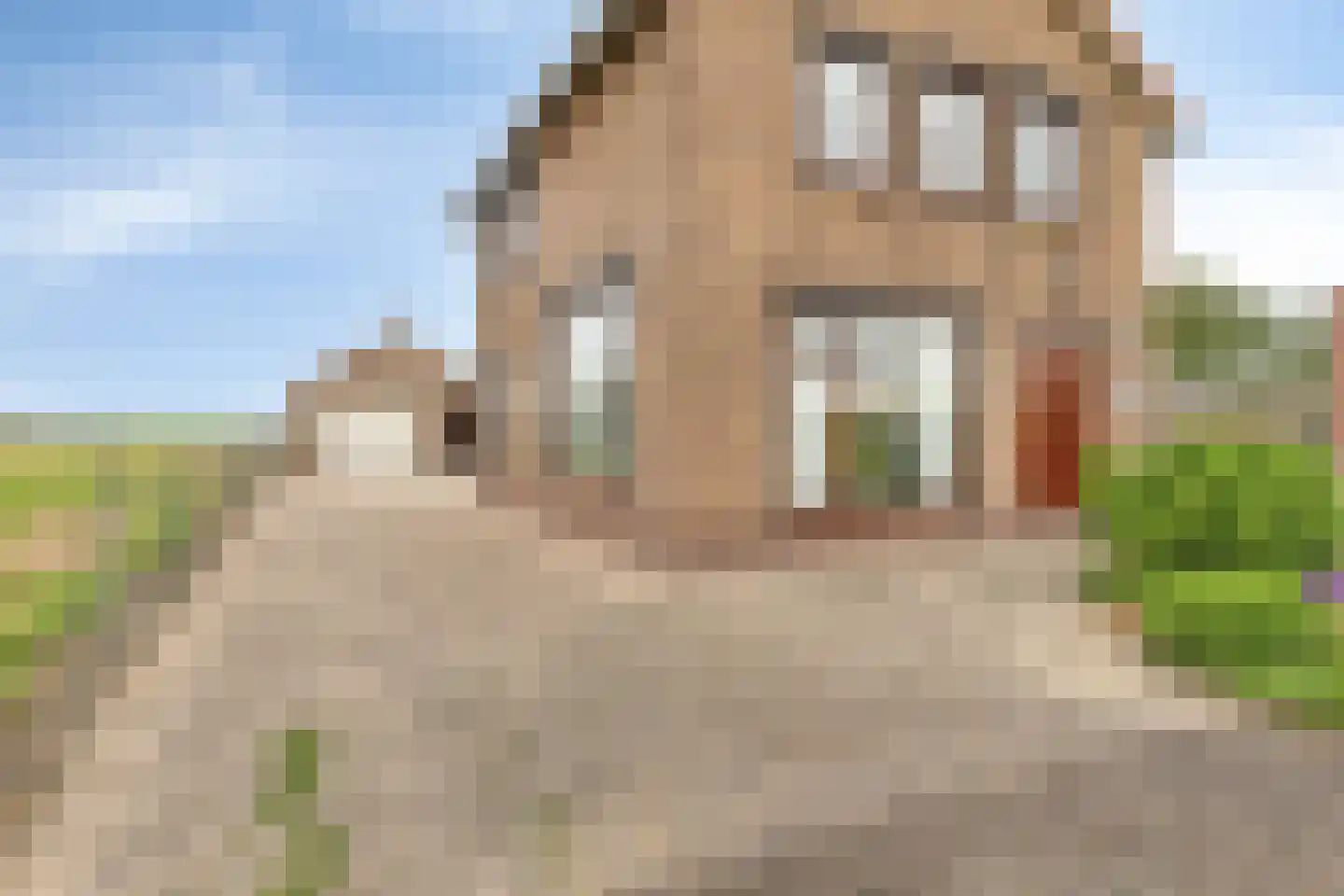 Molendijk 75 Herkingen thumbnail 7