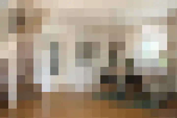 Molendijk 79 Dinteloord thumbnail 18
