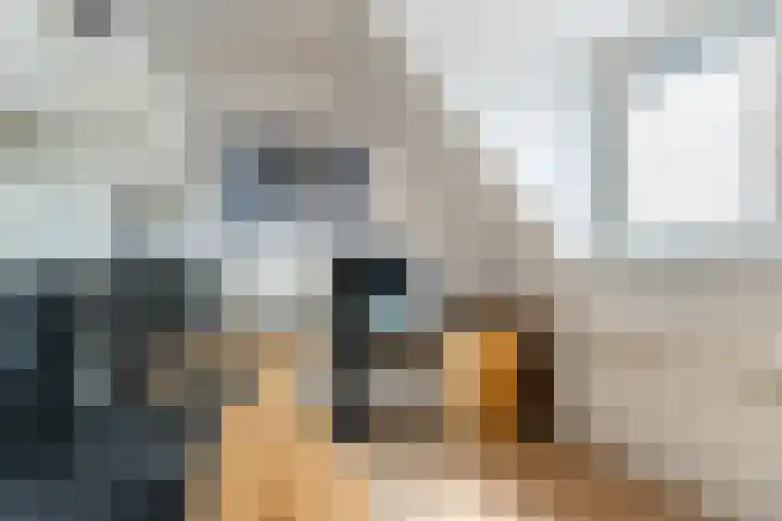Molendijk 79 Dinteloord thumbnail 34