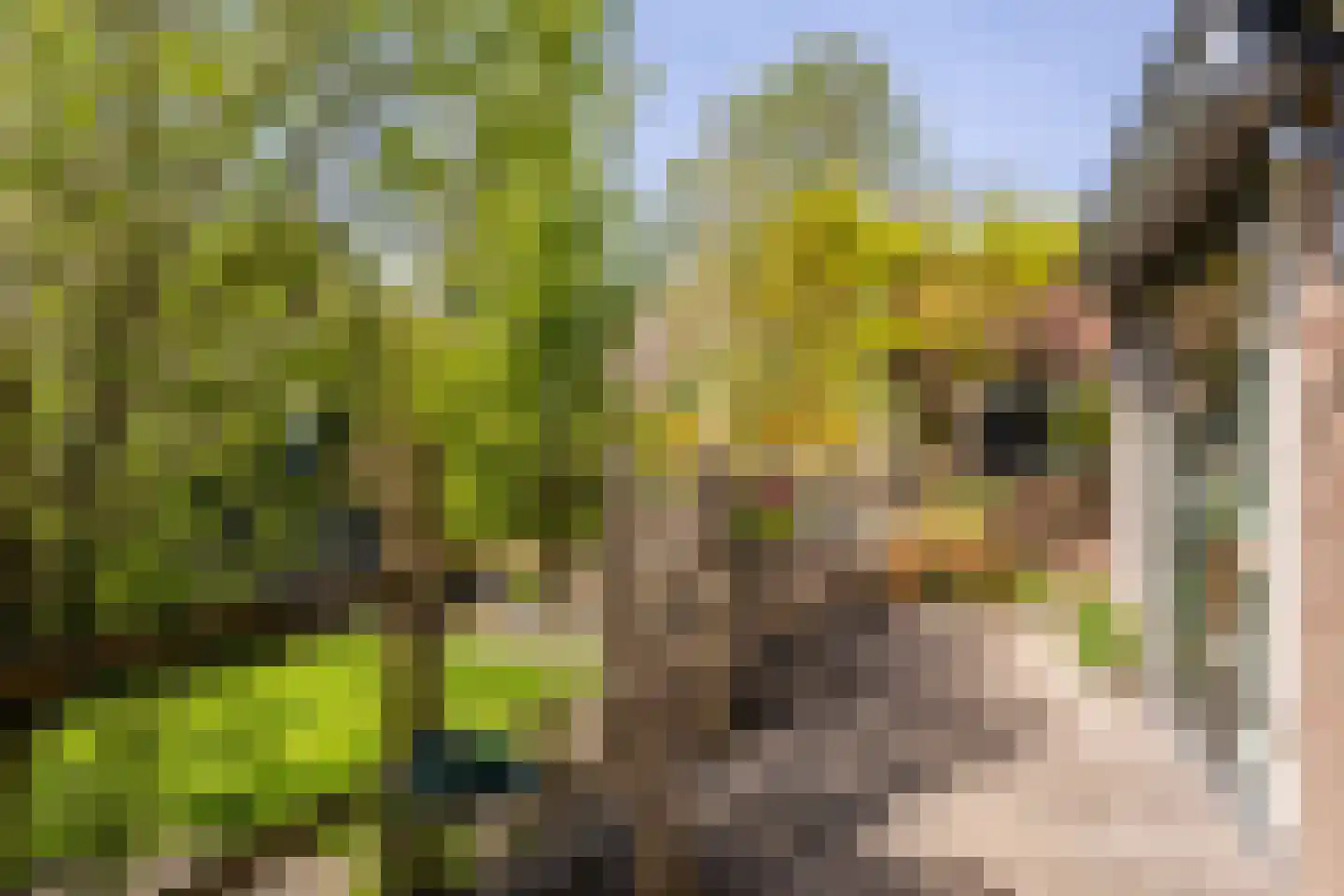 Molendijk 79 Zuid-Beijerland thumbnail 10