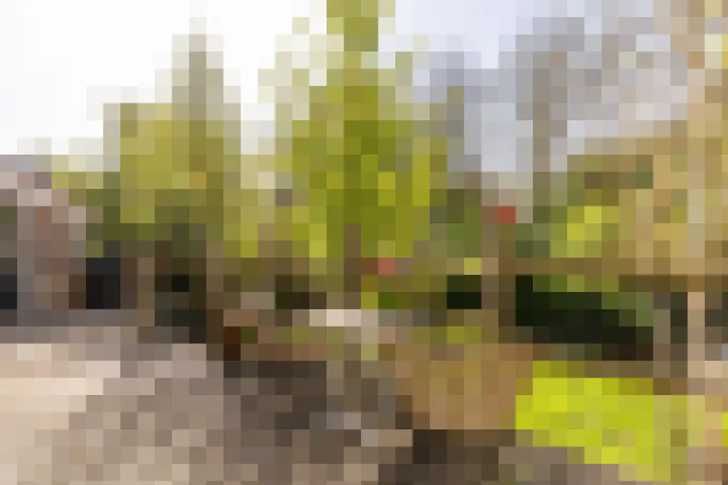 Molendijk 79 Zuid-Beijerland thumbnail 11
