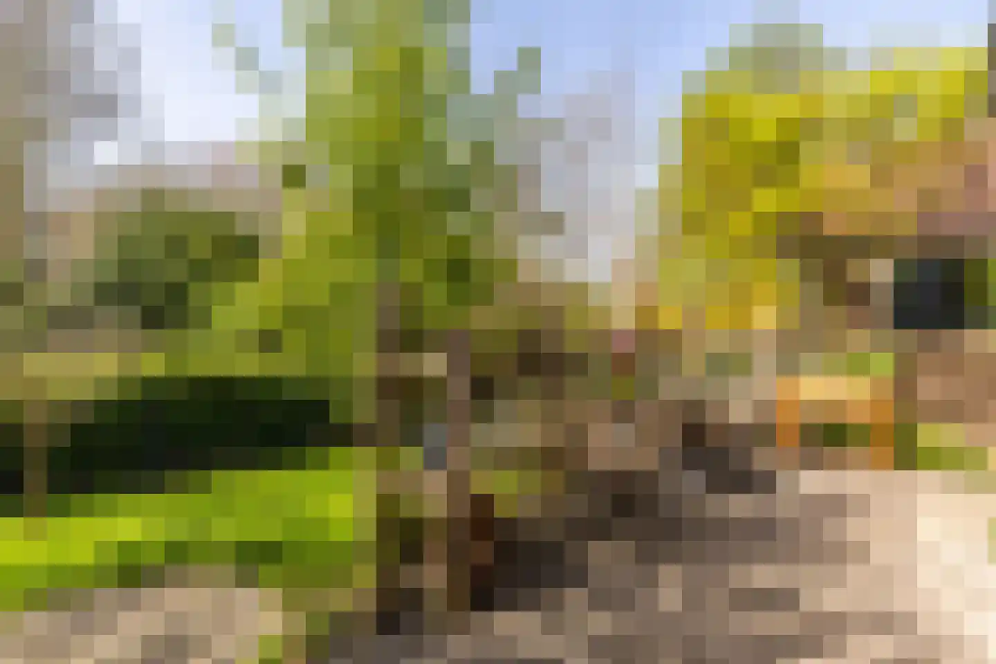 Molendijk 79 Zuid-Beijerland thumbnail 13