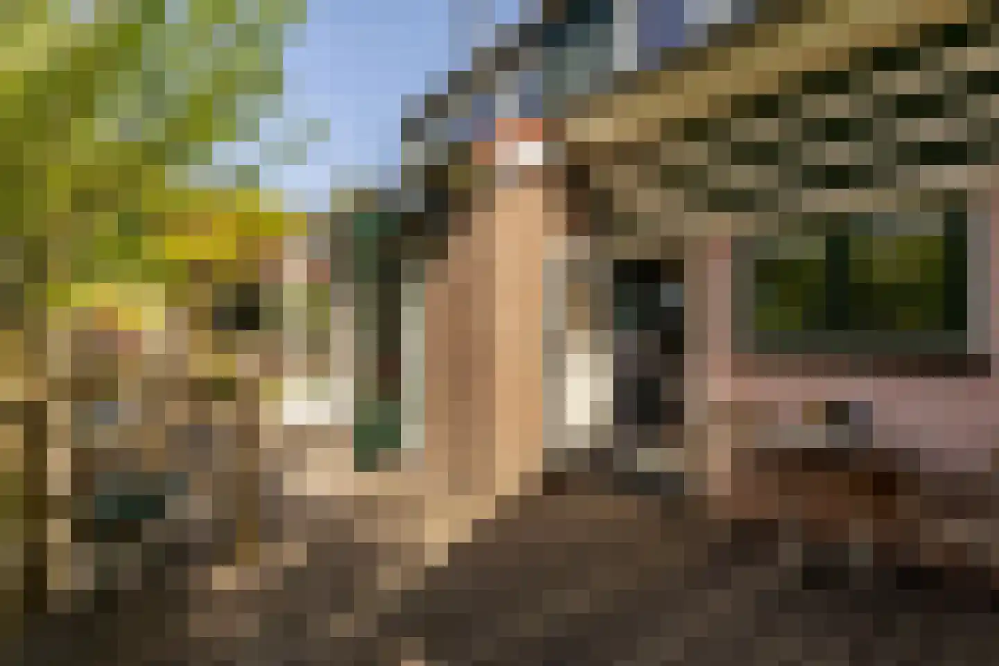 Molendijk 79 Zuid-Beijerland thumbnail 14
