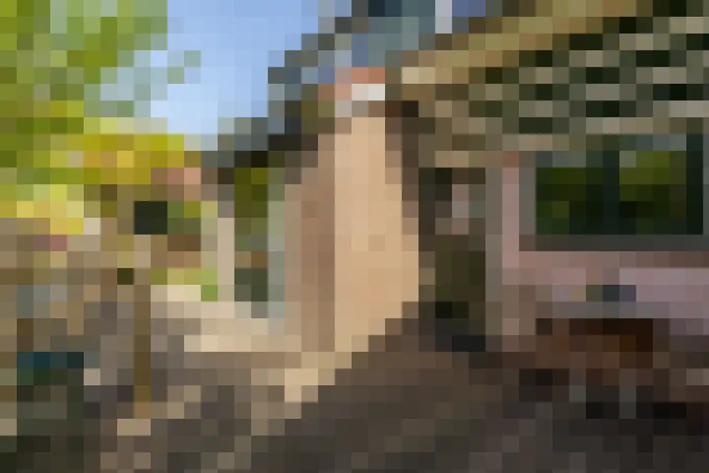 Molendijk 79 Zuid-Beijerland thumbnail 15