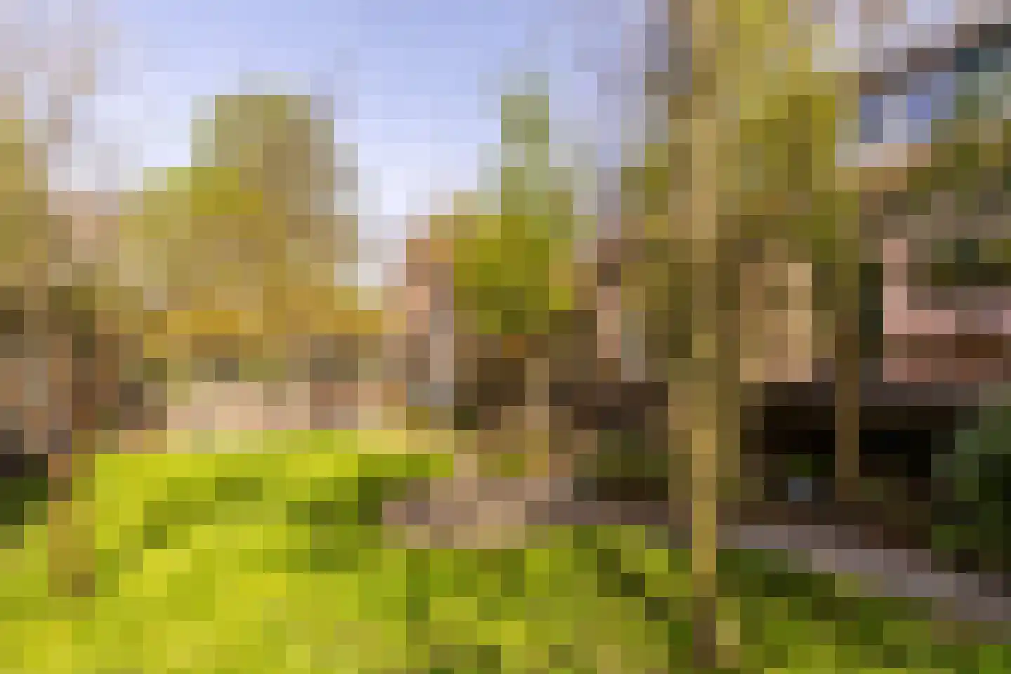 Molendijk 79 Zuid-Beijerland thumbnail 18