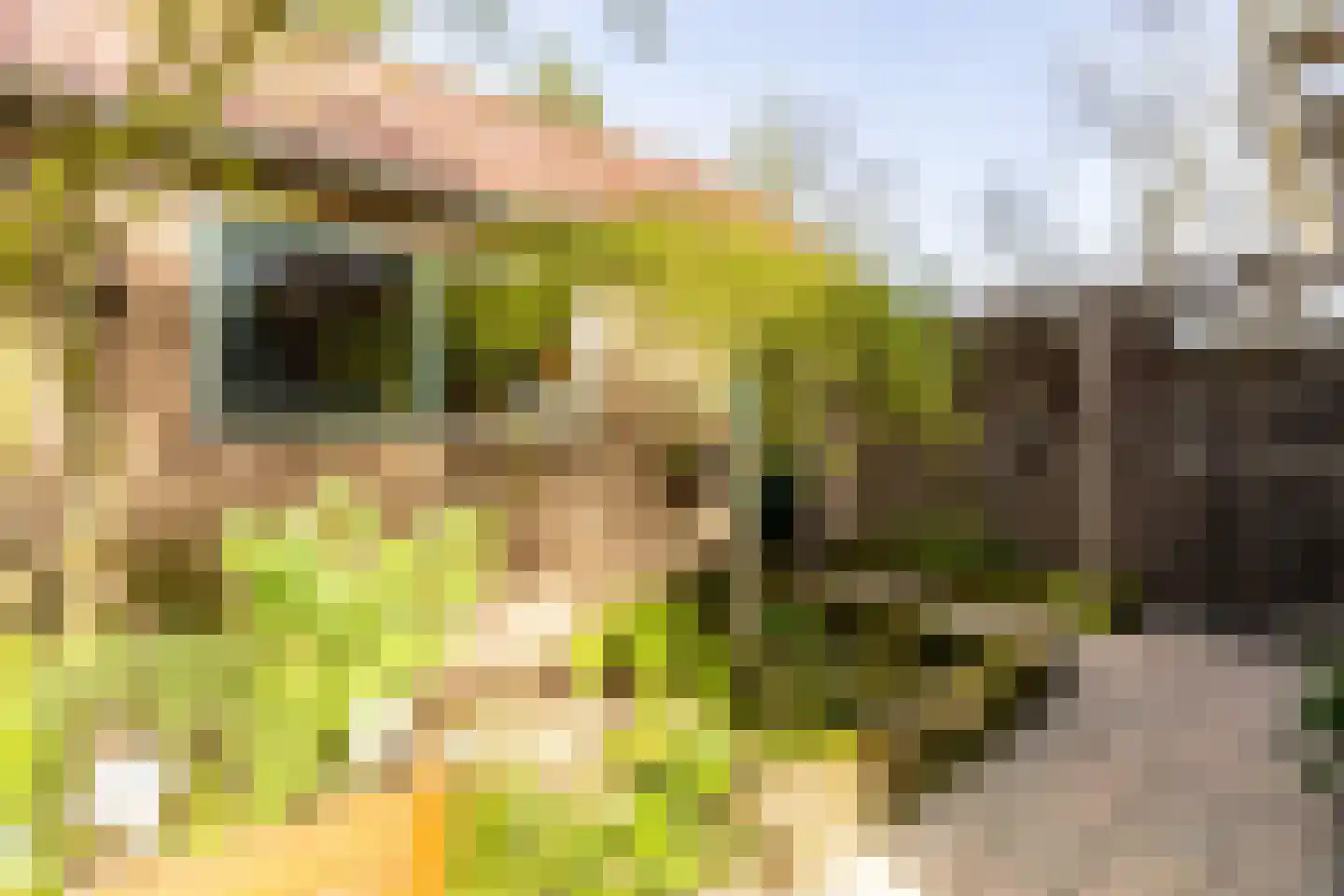 Molendijk 79 Zuid-Beijerland thumbnail 19