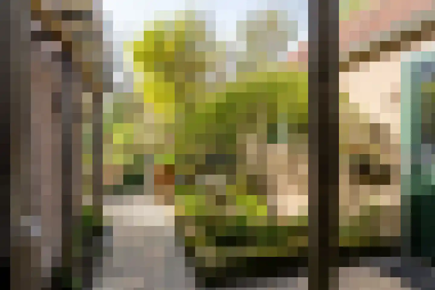 Molendijk 79 Zuid-Beijerland thumbnail 20