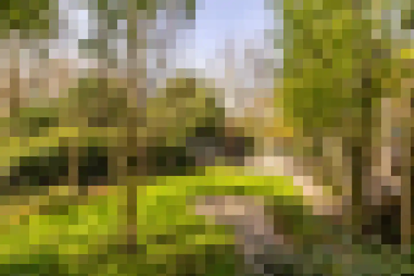 Molendijk 79 Zuid-Beijerland thumbnail 22