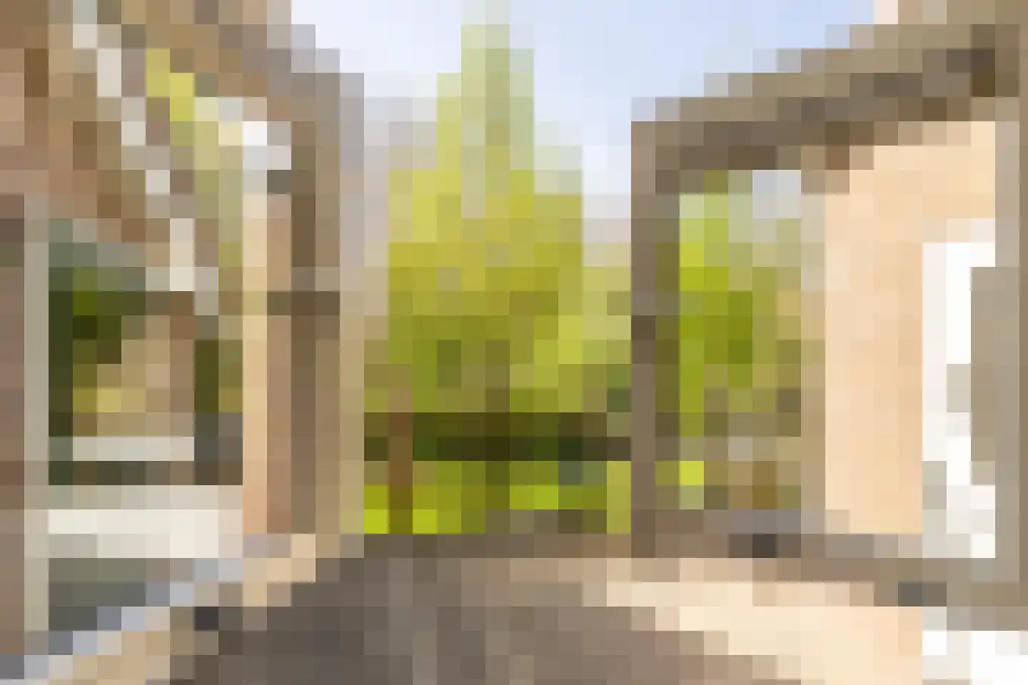 Molendijk 79 Zuid-Beijerland thumbnail 34