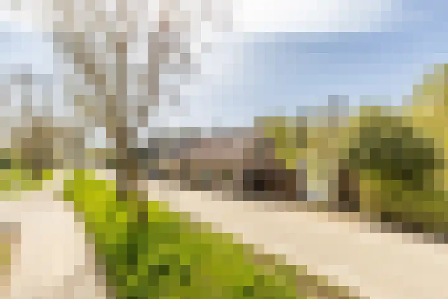 Molendijk 79 Zuid-Beijerland thumbnail 4