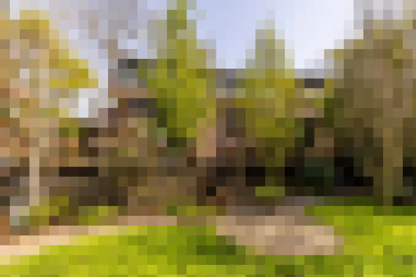 Molendijk 79 Zuid-Beijerland thumbnail 5