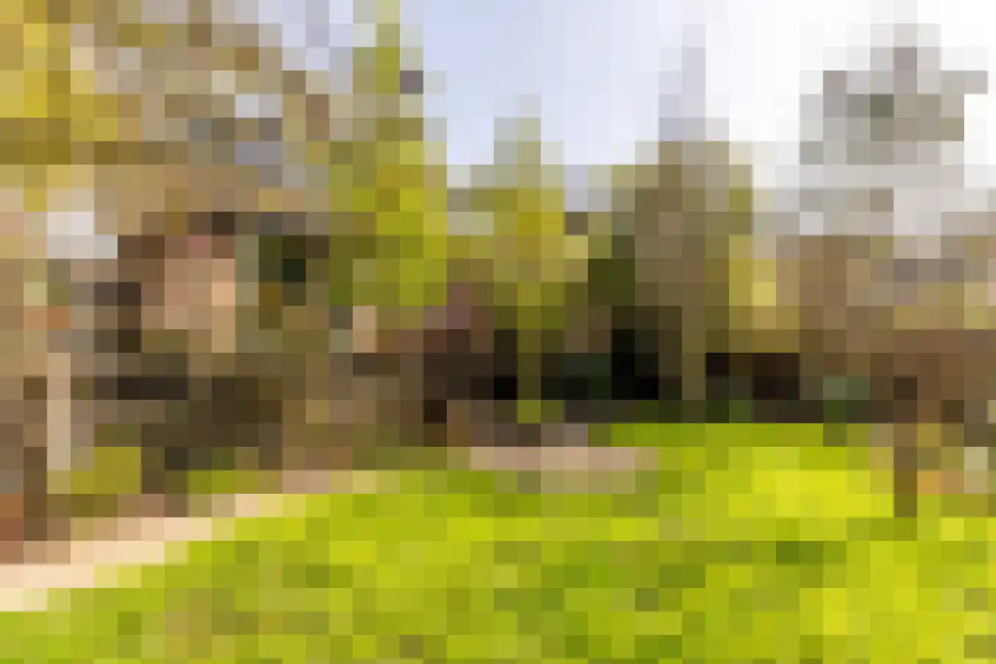 Molendijk 79 Zuid-Beijerland thumbnail 6