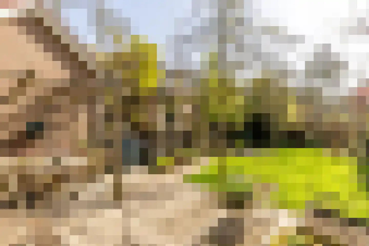 Molendijk 79 Zuid-Beijerland thumbnail 7