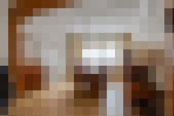 Molendijk 8 Lichtenvoorde thumbnail 17