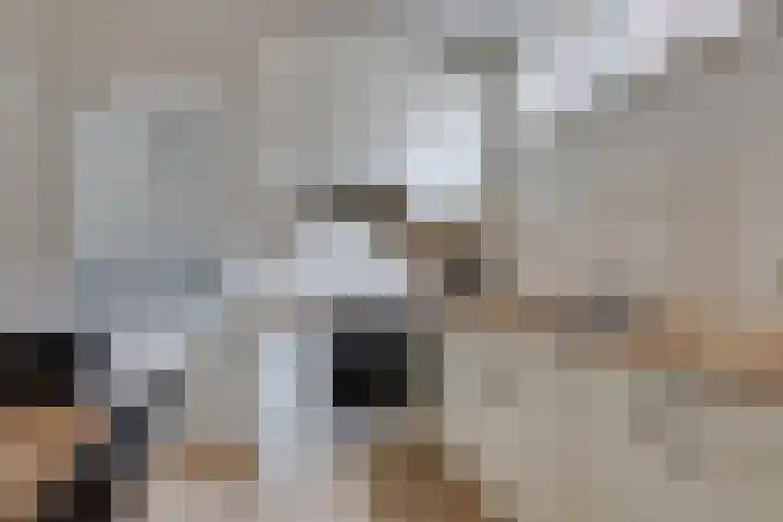 Molendijk 8 Lichtenvoorde thumbnail 21