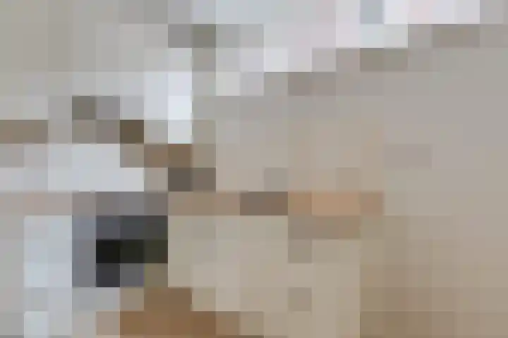 Molendijk 8 Lichtenvoorde thumbnail 22
