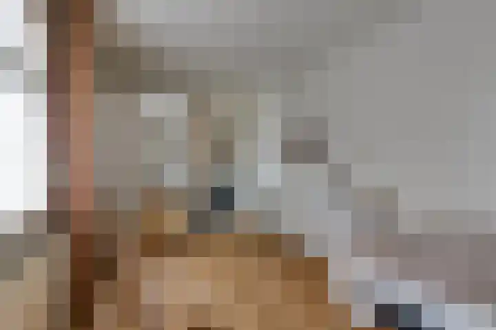 Molendijk 8 Lichtenvoorde thumbnail 37