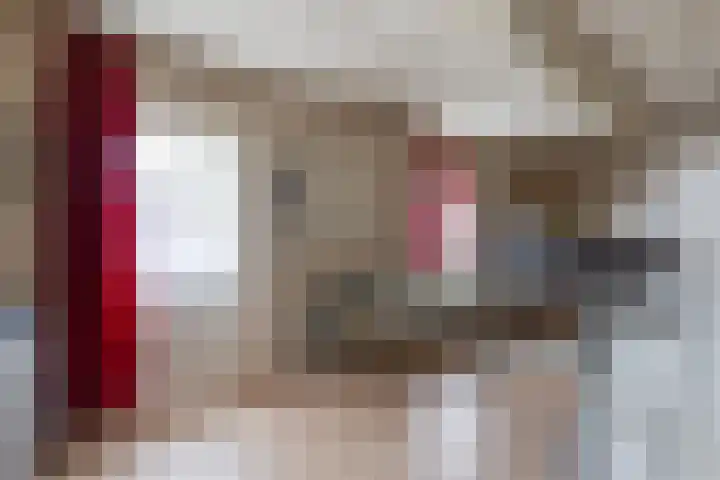 Molendijk 8 Lichtenvoorde thumbnail 38