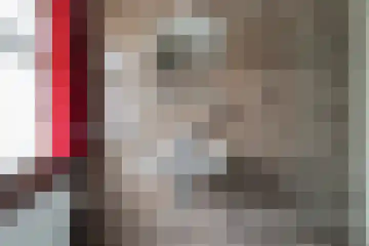 Molendijk 8 Lichtenvoorde thumbnail 42