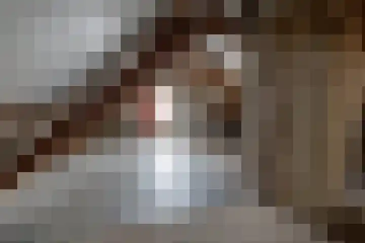Molendijk 8 Lichtenvoorde thumbnail 45