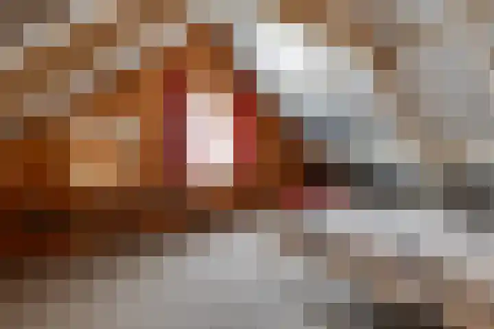 Molendijk 8 Lichtenvoorde thumbnail 47