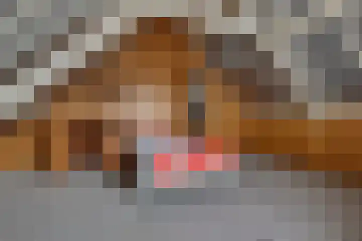 Molendijk 8 Lichtenvoorde thumbnail 48