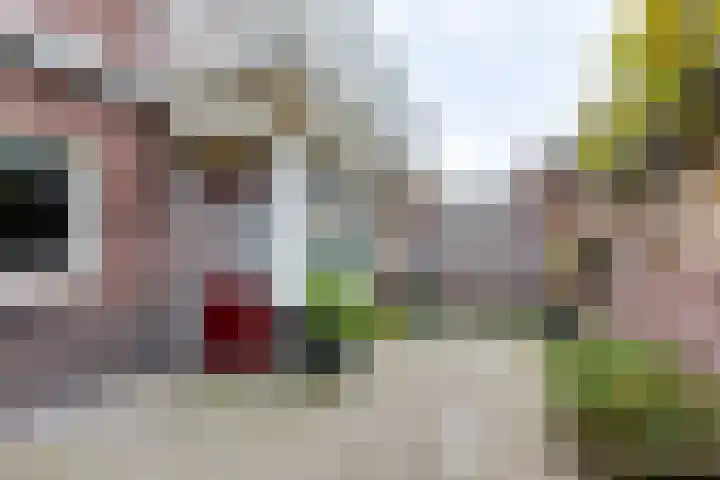 Molendijk 8 Lichtenvoorde thumbnail 51