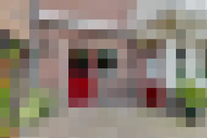 Molendijk 8 Lichtenvoorde thumbnail 52