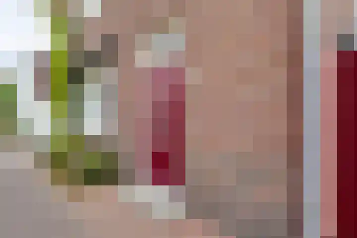 Molendijk 8 Lichtenvoorde thumbnail 6