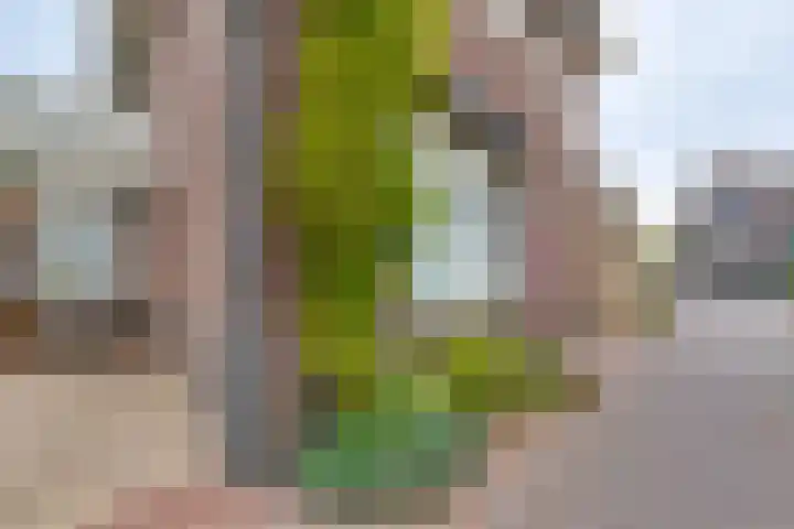 Molendijk 8 Lichtenvoorde thumbnail 7