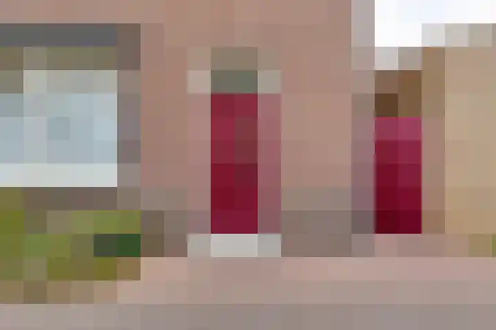 Molendijk 8 Lichtenvoorde thumbnail 9