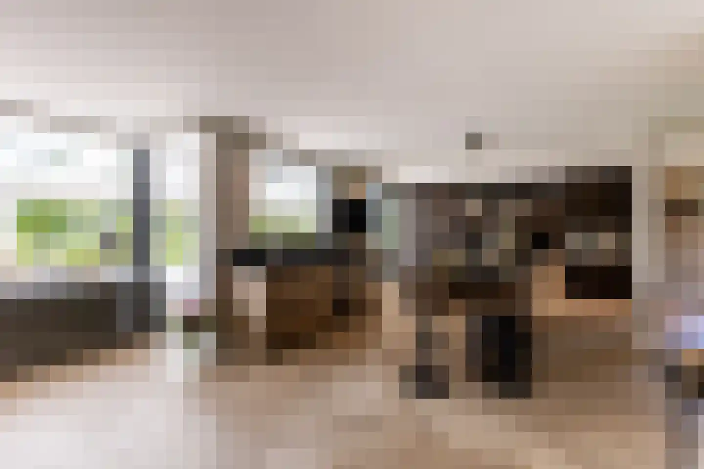 Molendijk 8 Oostvoorne thumbnail 10