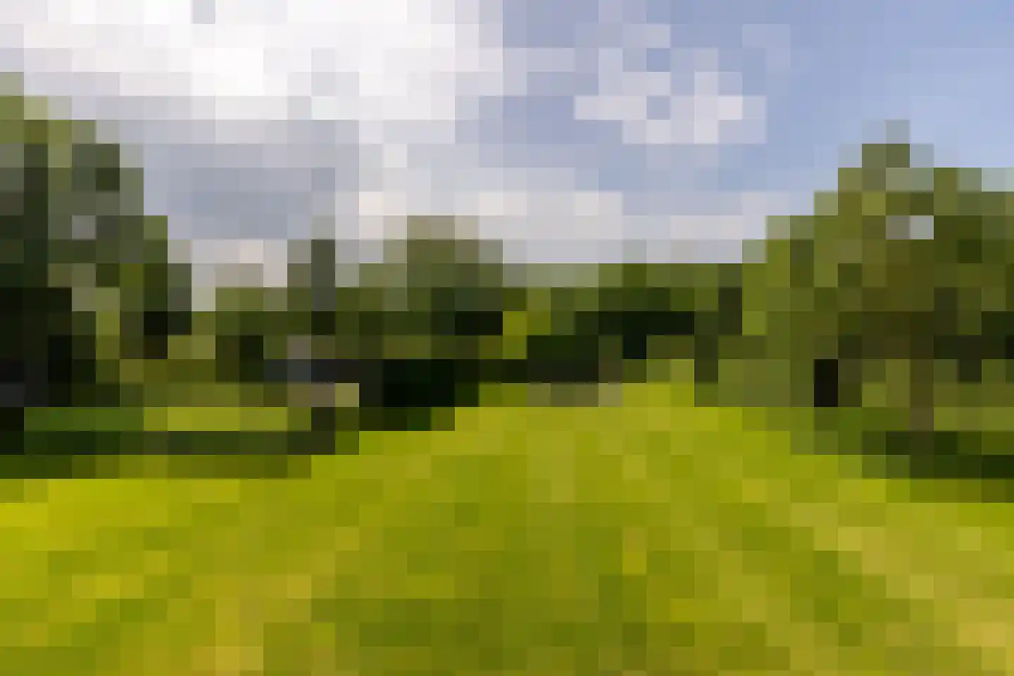 Molendijk 8 Oostvoorne thumbnail 104