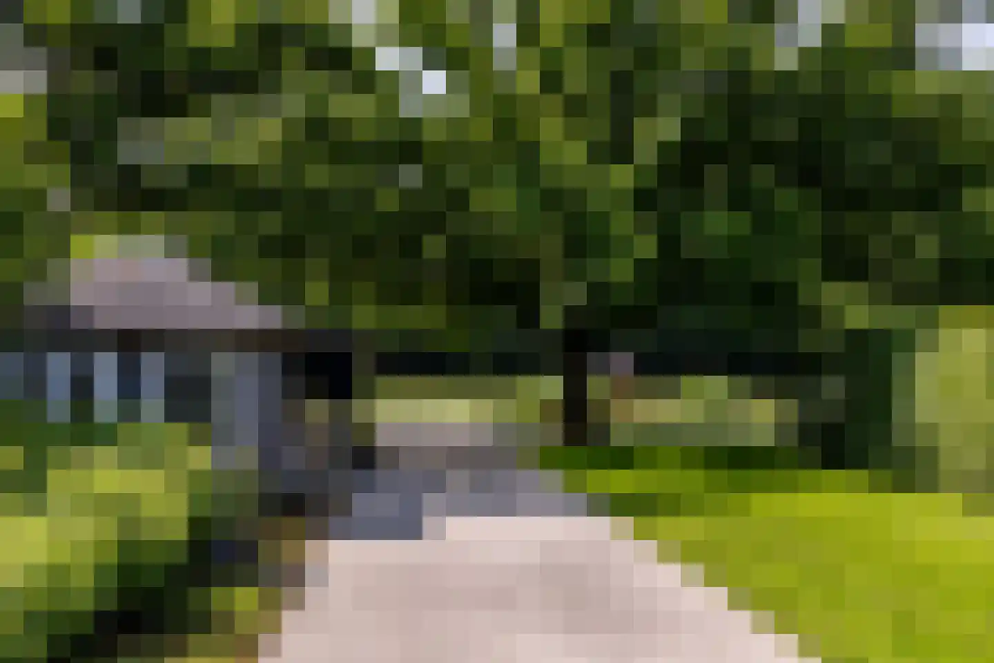 Molendijk 8 Oostvoorne thumbnail 108