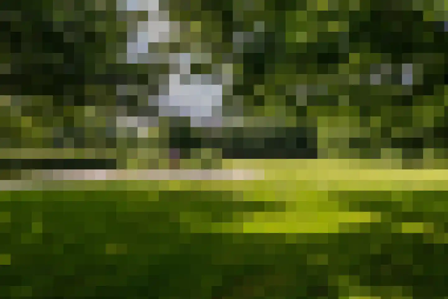 Molendijk 8 Oostvoorne thumbnail 109