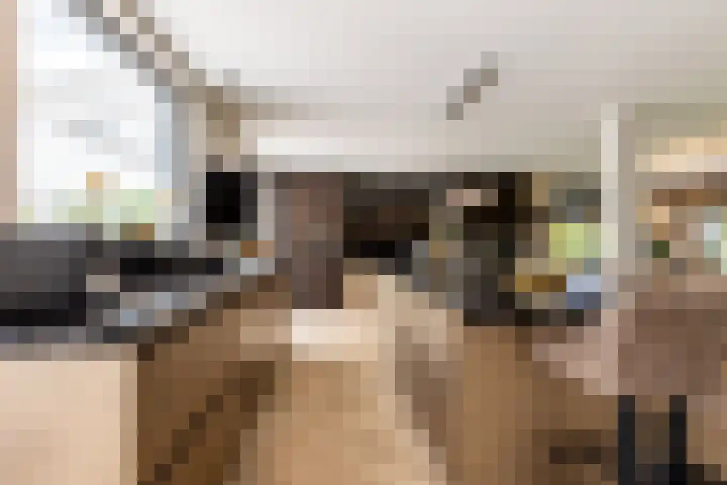 Molendijk 8 Oostvoorne thumbnail 11
