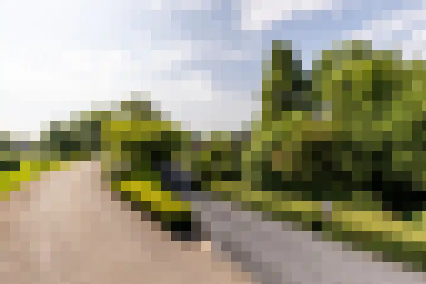 Molendijk 8 Oostvoorne thumbnail 117