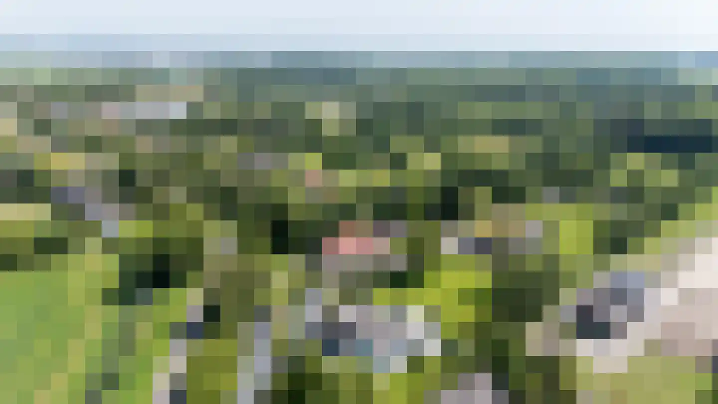 Molendijk 8 Oostvoorne thumbnail 118