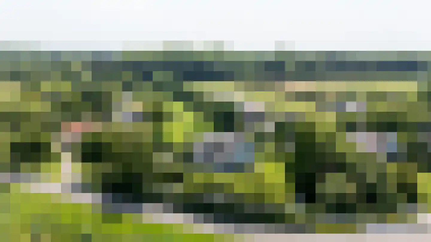 Molendijk 8 Oostvoorne thumbnail 120