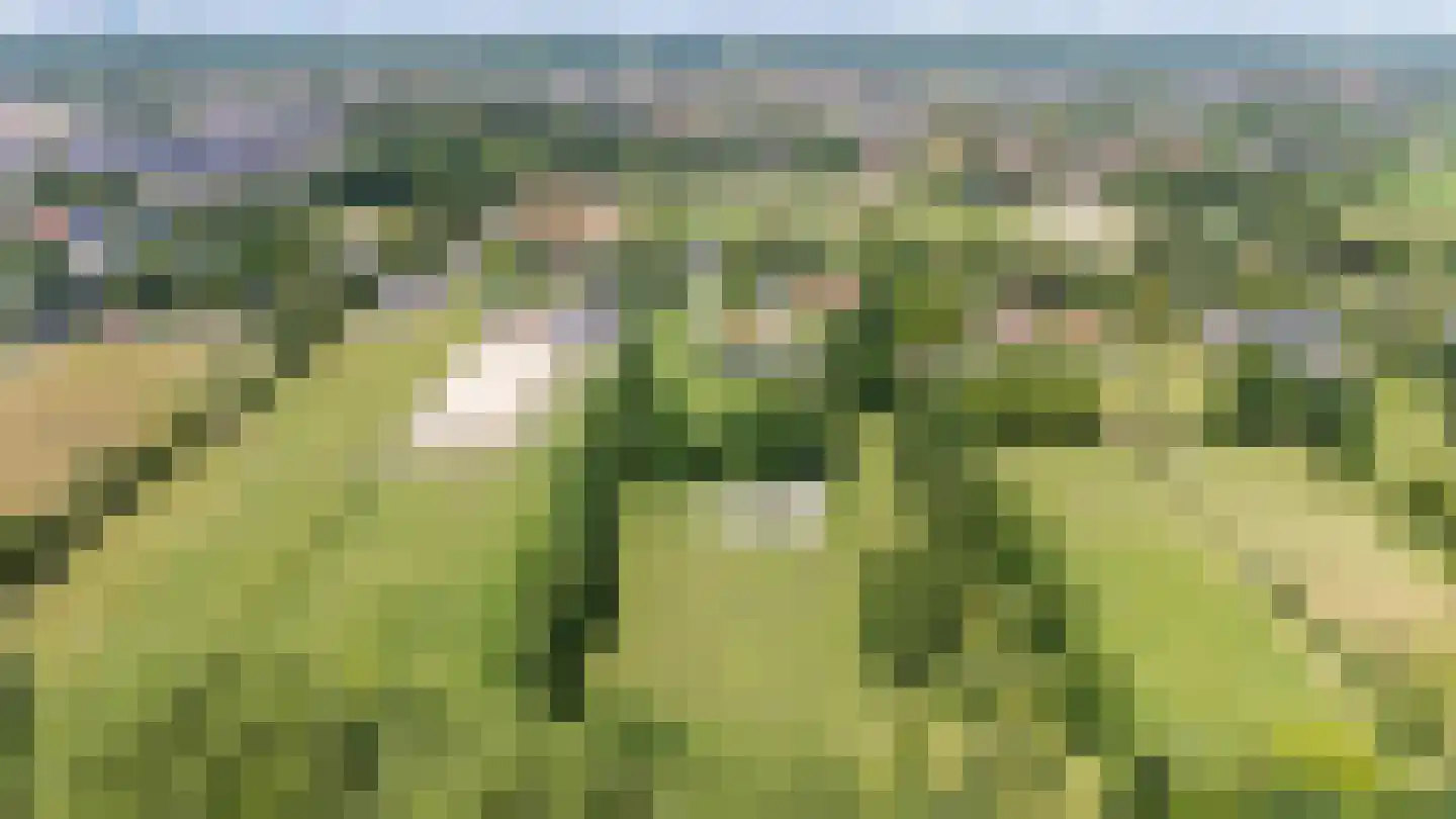 Molendijk 8 Oostvoorne thumbnail 121