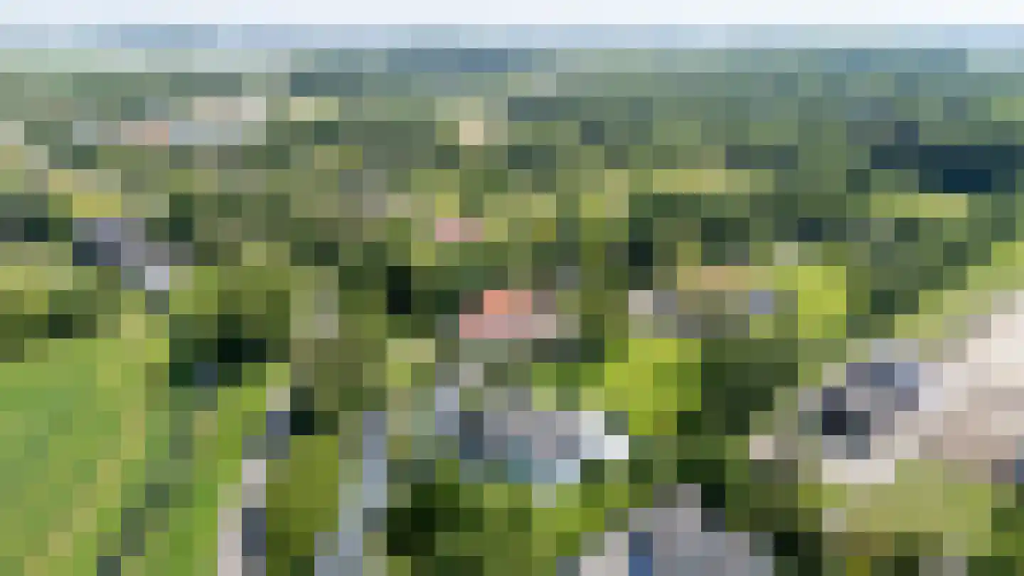 Molendijk 8 Oostvoorne thumbnail 122