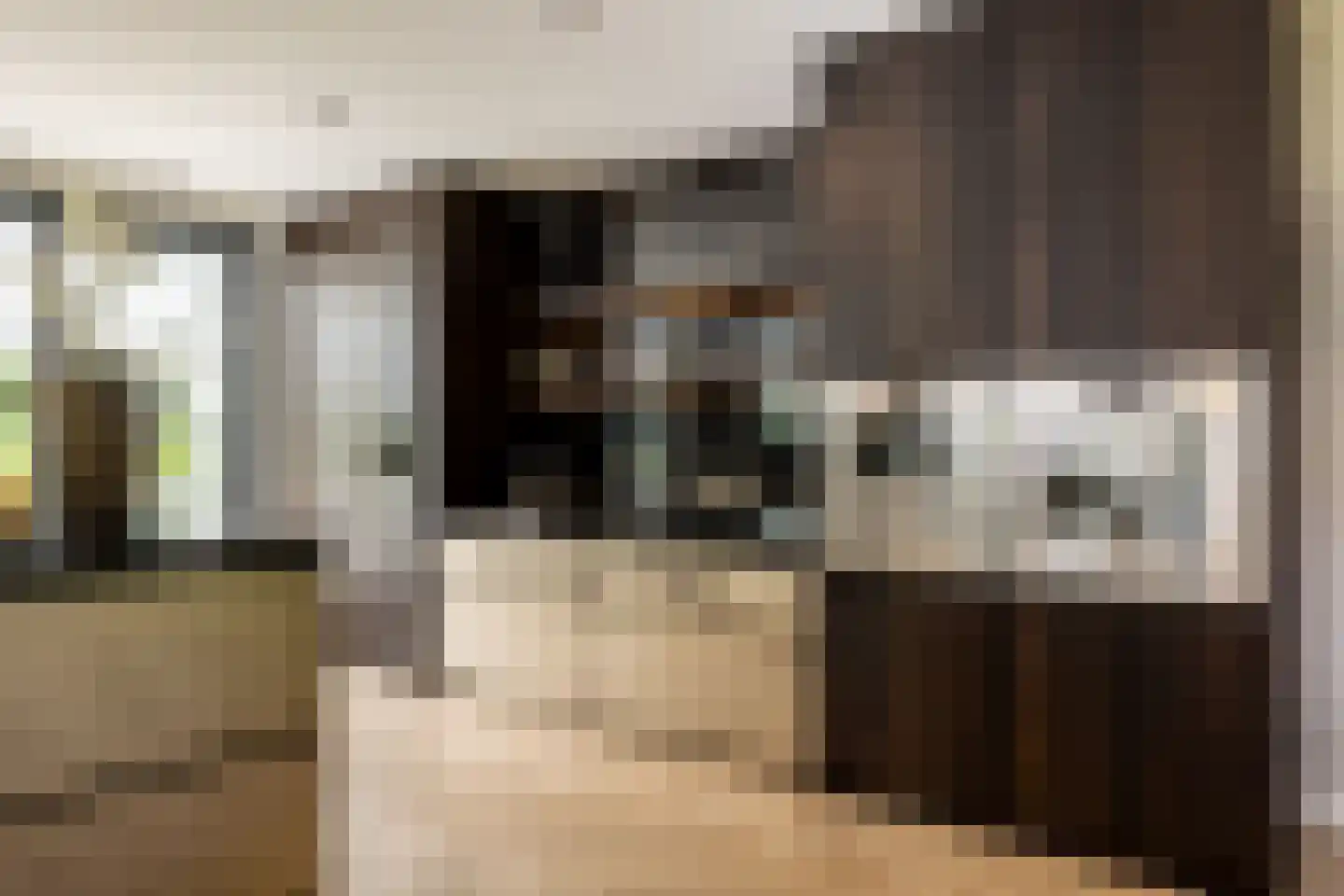 Molendijk 8 Oostvoorne thumbnail 14