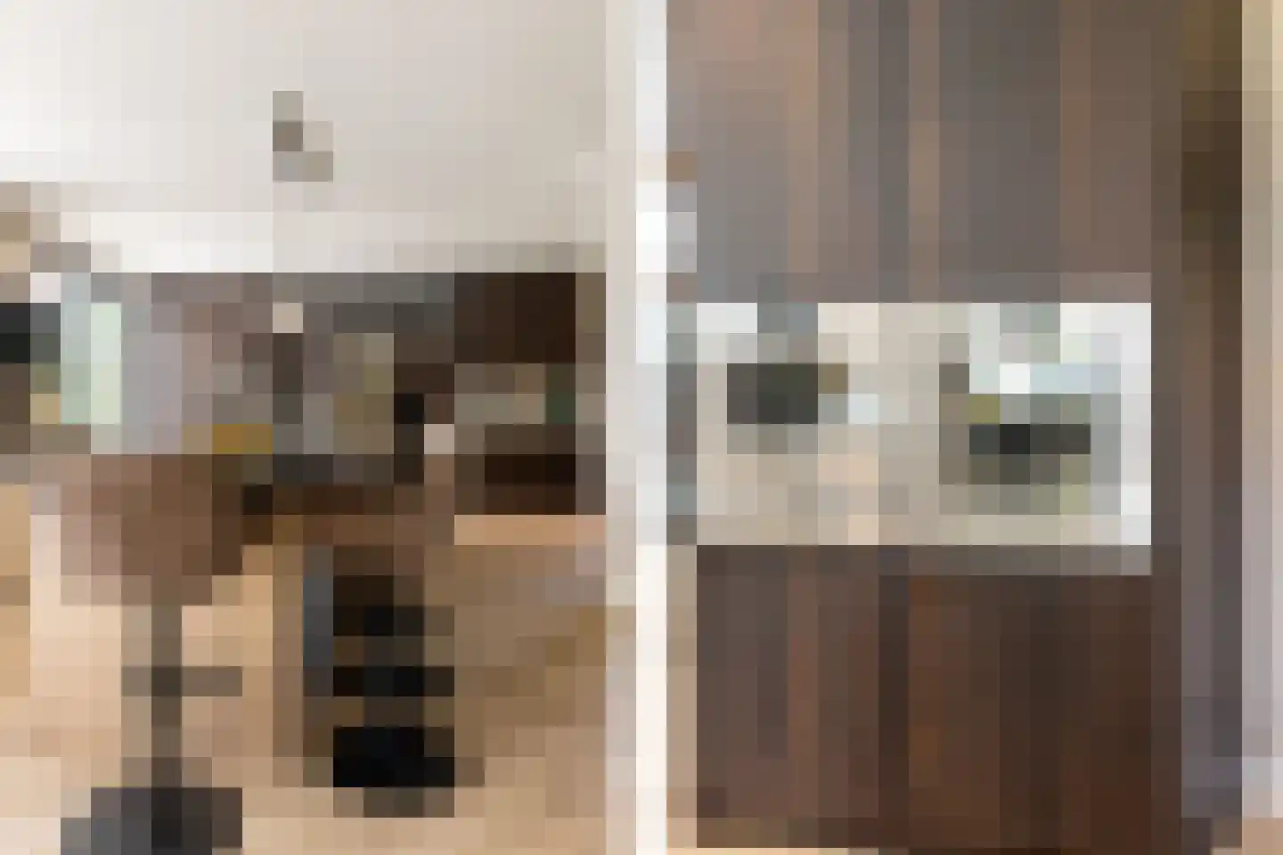 Molendijk 8 Oostvoorne thumbnail 17