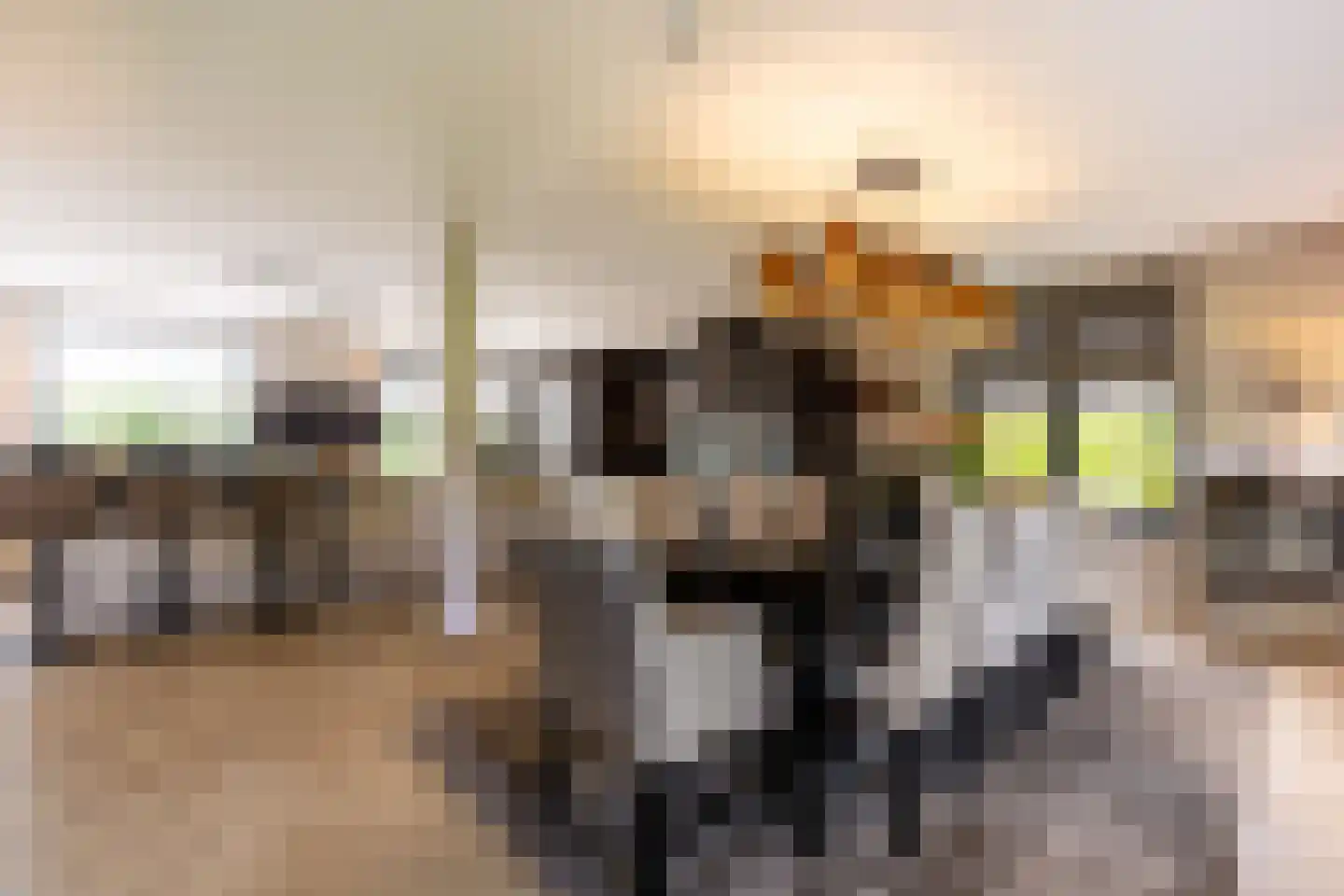 Molendijk 8 Oostvoorne thumbnail 19