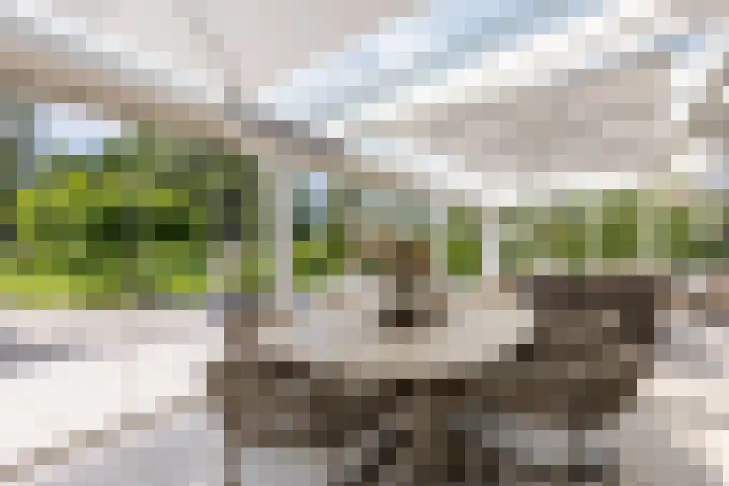 Molendijk 8 Oostvoorne thumbnail 24