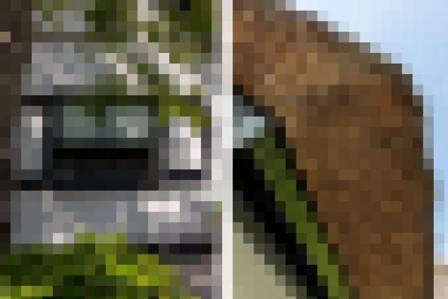 Molendijk 8 Oostvoorne thumbnail 47