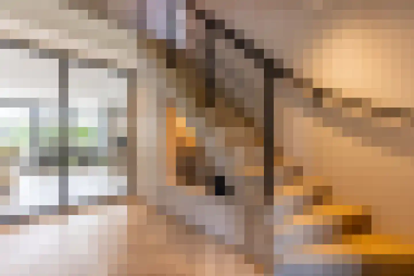Molendijk 8 Oostvoorne thumbnail 6