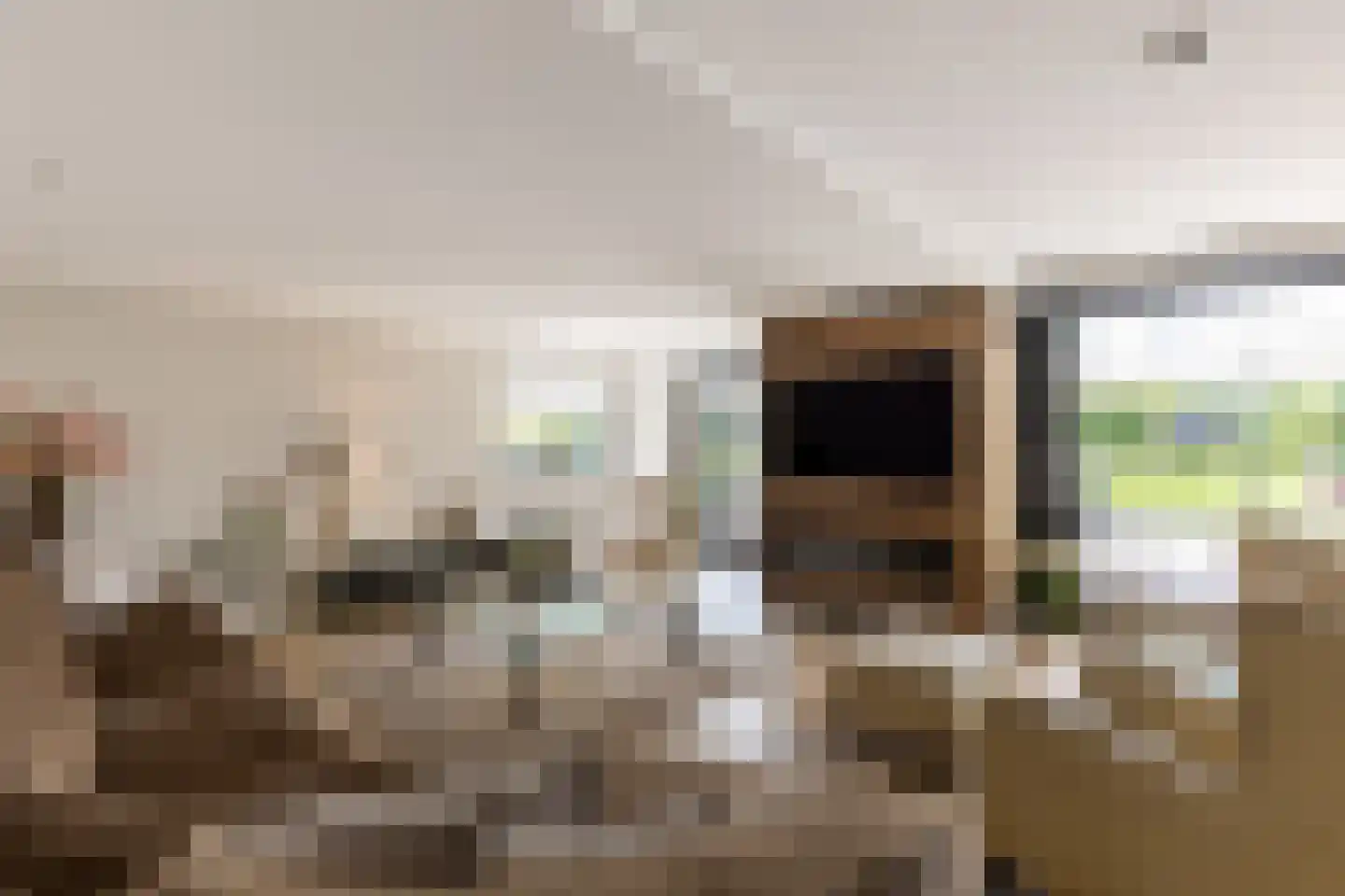 Molendijk 8 Oostvoorne thumbnail 8
