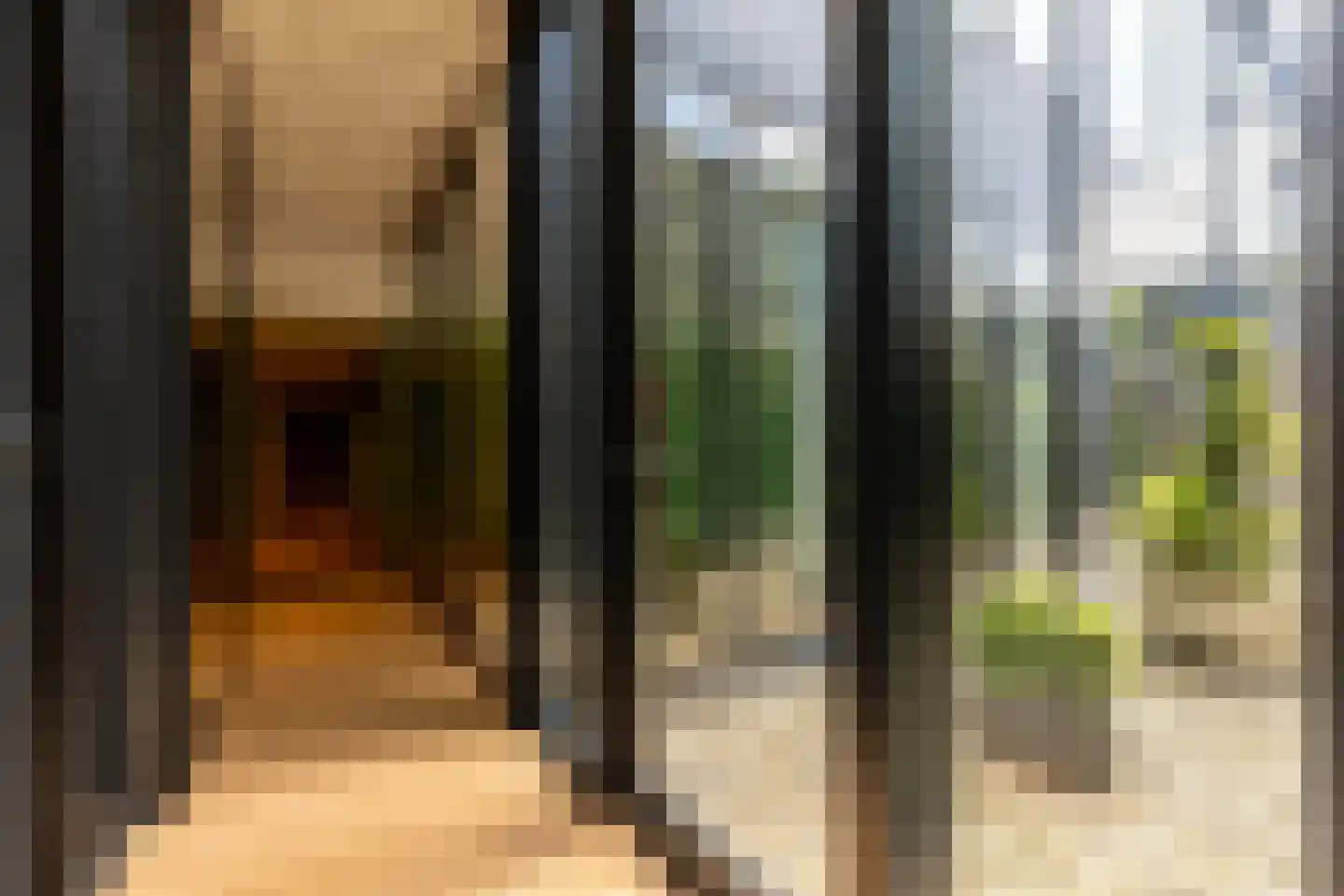 Molendijk 8 Oostvoorne thumbnail 83